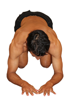 pincha mayurasana hand position