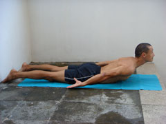 locust pose or shalabasana