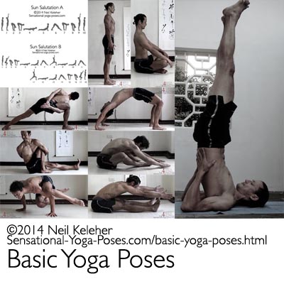 basic yoga poses including sun saluations, standing poses, seated poses, binding poses, twists, arm balances, backbends, forward bends and hamstring stretchest and inversions like shoulderstand. Neil Keleher. Sensational Yoga Poses.