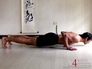 Prone Yoga Poses, Chaturanga dandasana Neil Keleher, Sensational Yoga Poses