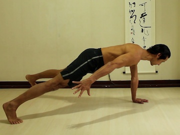 plank pose, push up position, yoga poses, yoga postures, core stability yoga poses, core stability exercises