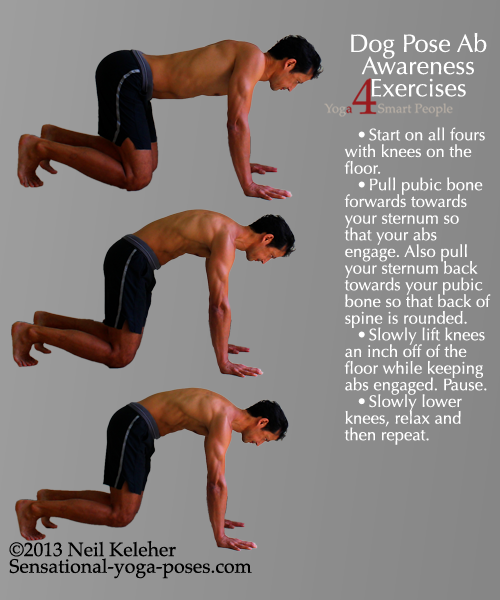 dog pose ab awareness exercise, pubic bone forwards, sternum towards pubic bone, ab control, plank pose variaiton, yoga strengthening poses, yoga notes, neil keleher