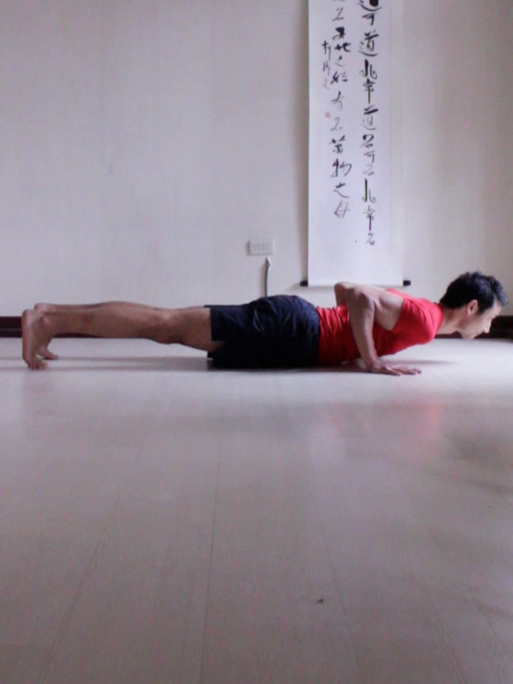 chaturanga dandasana or four limbed staff pose.