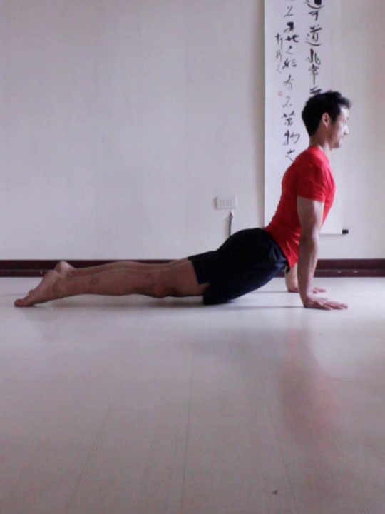 upward dog (urdhva muka svanasana) with eyes looking forwards