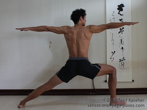 warrior 2 back view, shoulder blades spread apart, serratus anterior muscle activated