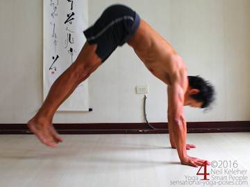 upward facing dog, upward dog, upward dog and using the psoas to jump to downward facing dog